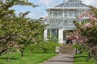 Royal Botanic Gardens, Kew 1063839 Image 1